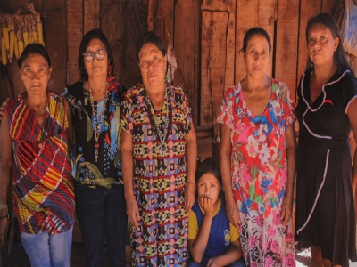 Mulheres denunciam envenenamento e morte causados por agrotóxicos no Cerrado 