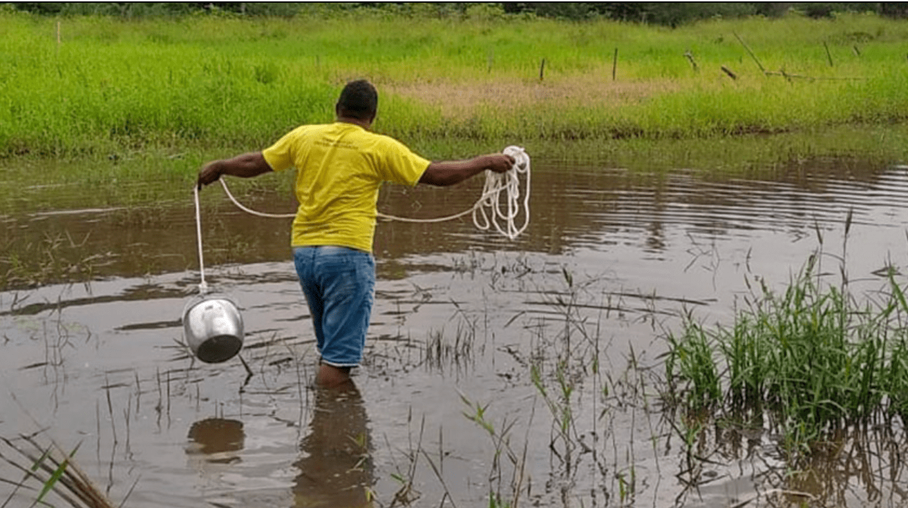 Comissão Pastoral da Terra - Mesmo com a condenação de um executor, crimes  em Colniza (MT) continuam impunes