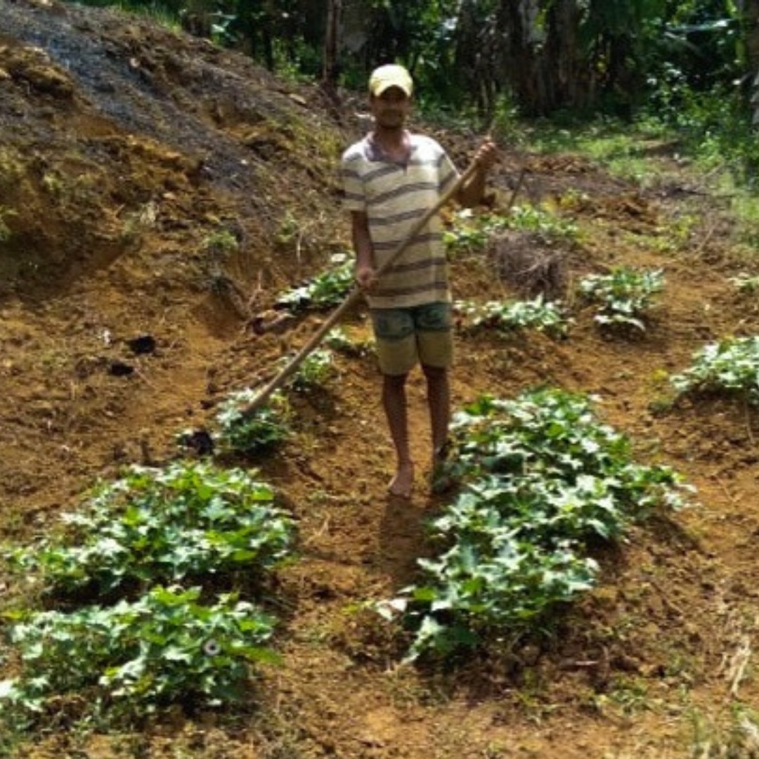 Comissão Pastoral da Terra - Mesmo com a condenação de um executor, crimes  em Colniza (MT) continuam impunes