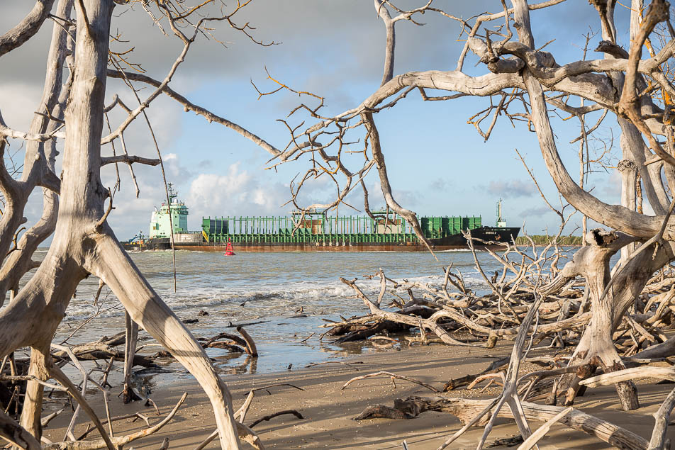 Embarcação da Fibria S.A ao entrar pelo canal do Tomba com mangue seco.