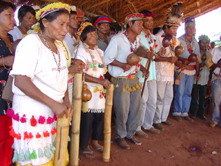 guarani kaiowa